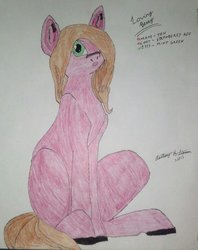 Size: 796x1004 | Tagged: safe, artist:hammiam, oc, oc only, oc:loving berry, earth pony, pony, reference sheet, solo, traditional art