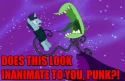 Size: 826x533 | Tagged: safe, edit, edited screencap, screencap, neon lights, rising star, pony, unicorn, do princesses dream of magic sheep, g4, audrey 2, carnivorous plant, image macro, little shop of horrors, male, meme, open mouth, red text, song in the comments, stallion, tentacles