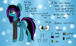 Size: 2560x1560 | Tagged: safe, artist:despotshy, oc, oc only, oc:despy, reference sheet, solo