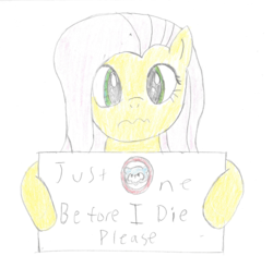 Size: 1695x1590 | Tagged: safe, artist:2shyshy, fluttershy, g4, awesome in hindsight, bust, chicago cubs, female, hilarious in hindsight, looking at you, portrait, sign, simple background, solo, traditional art, wavy mouth, white background, wrong eye color