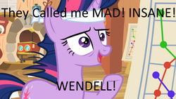 Size: 800x450 | Tagged: safe, edit, edited screencap, screencap, twilight sparkle, g4, it's about time, angry, arson murder and jaywalking, caption, dr mystico, female, freakazoid, insanity, meme, quote, solo, the island of dr mystico, they called me mad, tim curry, twilight gone mad, wendell