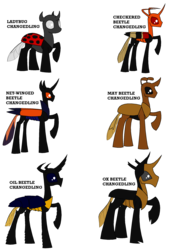 Size: 1773x2562 | Tagged: safe, artist:rexlupin, beetle, changedling, changeling, dark changedling, ladybug, ladybug changeling, g4, to where and back again, alternate design, brown changeling, orange changeling, raised hoof, simple background, text, transparent background