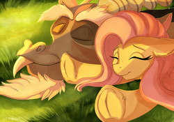 Size: 3000x2100 | Tagged: safe, artist:tailung, discord, fluttershy, g4, cute, eyes closed, floppy ears, frog (hoof), grass, high res, male, outdoors, prone, relaxing, ship:discoshy, shipping, straight, underhoof