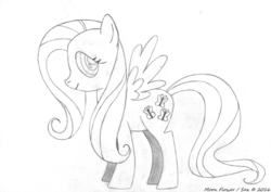 Size: 7016x4980 | Tagged: safe, artist:moon flower, fluttershy, pegasus, pony, series:moon flower's fluttershy, g4, 2016, absurd resolution, black and white, drawing, fanart, female, grayscale, lineart, mare, monochrome, pencil, simple background, smudges, solo, stock vector, traditional art, white background