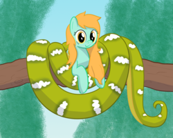 Size: 1000x800 | Tagged: safe, artist:mightyshockwave, oc, oc only, oc:sandra scales, lamia, original species, snake, snake pony, c:, coils, cute, emerald tree boa, looking at you, relaxed, smiling, solo, tree branch