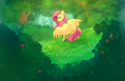 Size: 2461x1597 | Tagged: safe, artist:nightskrill, fluttershy, pegasus, pony, g4, berry, clearing, crepuscular rays, female, forest, looking at something, solo, spread wings, standing