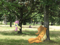 Size: 778x584 | Tagged: safe, artist:appleandmuffin, applejack, fluttershy, human, g4, irl, irl human, photo, ponies in real life