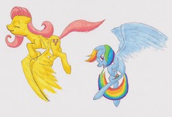 Size: 4717x3228 | Tagged: safe, artist:titankore, fluttershy, rainbow dash, g4, flying, traditional art