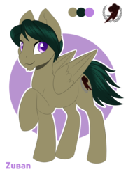 Size: 950x1298 | Tagged: safe, artist:silkensaddle, oc, oc only, oc:zuban, pegasus, pony, fallout equestria, dashite, simple background, solo, transparent background