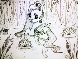 Size: 1140x862 | Tagged: safe, artist:sentabry, fluttershy, g4, cattails, female, floating, flower, flower in hair, folded wings, grayscale, lilypad, lineart, looking at you, looking back, monochrome, open mouth, pond, reeds, solo, swimming, traditional art, water