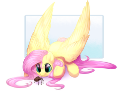 Size: 1900x1408 | Tagged: safe, artist:peachmayflower, fluttershy, pony, spider, g4, cute, female, fluffy, large wings, prone, shyabetes, smiling, solo, spread wings