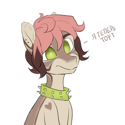 Size: 1280x1280 | Tagged: safe, artist:aphphphphp, oc, oc only, earth pony, pony, bust, choker, dialogue, looking at you, russian, simple background, solo, spiked choker, translated in the comments, white background