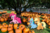 Size: 2048x1367 | Tagged: safe, artist:harvydraws, applejack, pinkie pie, rainbow dash, pegasus, pony, g4, bored, fence, halloween, irl, photo, photoshop, pick one, ponies in real life, pumpkin, pumpkin patch, vector, waiting, watch