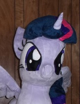 Size: 162x209 | Tagged: artist needed, safe, twilight sparkle, alicorn, pony, g4, irl, photo, plushie, solo, twilight sparkle (alicorn)