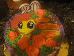 Size: 3648x2736 | Tagged: safe, fluttershy, g4, birthday, cake, female, food, high res, solo