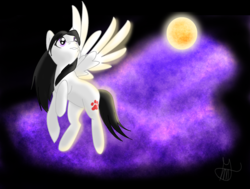 Size: 1571x1188 | Tagged: safe, artist:the-mad-pumpkin, oc, oc only, pegasus, pony, moon, night, solo