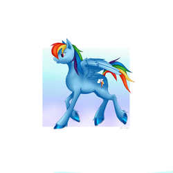 Size: 4000x4000 | Tagged: safe, artist:shroe-desu, rainbow dash, g4, absurd resolution, female, solo, spread wings, unshorn fetlocks