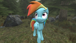 Size: 1920x1080 | Tagged: safe, artist:headphonemc, rainbow dash, g4, 3d, female, forest, solo