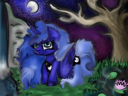 Size: 1024x768 | Tagged: safe, artist:neonspirit17, princess luna, pony, g4, female, fluffy, moon, night, solo