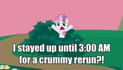 Size: 800x462 | Tagged: safe, edit, edited screencap, screencap, sweetie belle, pony, unicorn, g4, hearts and hooves day (episode), bush, bushicorn, female, filly, hearts and hooves day, image macro, impact font, meme, meta, oh come on, solo