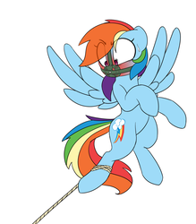 Size: 1280x1464 | Tagged: safe, artist:victoreach, rainbow dash, g4, blushing, bondage, female, gag, muzzle, muzzle gag, rope, solo, tether