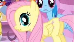 Size: 513x290 | Tagged: safe, screencap, fluttershy, rainbow dash, rarity, pony, g4, suited for success, butt, cropped, female, mare, plot