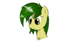 Size: 2100x1500 | Tagged: safe, artist:mranthony2, oc, oc only, oc:lemon bounce, pony, bust, disembodied head, simple background, solo