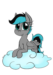 Size: 826x1169 | Tagged: safe, artist:darkhestur, oc, oc only, oc:gusty clouds, pegasus, pony, cloud, freckles, simple background, solo