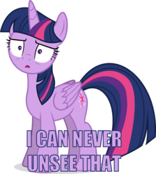 Size: 3000x3350 | Tagged: safe, artist:eagle1division, twilight sparkle, alicorn, pony, g4, ppov, cannot unsee, female, folded wings, high res, mare, scarred for life, simple background, solo, thousand yard stare, transparent background, twilight sparkle (alicorn), unsee, vector