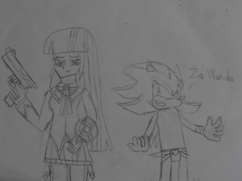 Homura Akemi vs. Shadow the Hedgehog