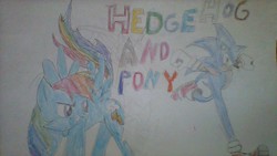 Size: 1280x720 | Tagged: safe, artist:nsegahasbrosony, rainbow dash, g4, crossover, fanfic art, fanfic cover, male, sonic the hedgehog, sonic the hedgehog (series), traditional art