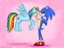 Size: 4000x3000 | Tagged: safe, artist:angela808, rainbow dash, pony, g4, crossover, crossover shipping, interspecies, kissing, male, shipping, sonic the hedgehog, sonic the hedgehog (series), sonicdash, straight