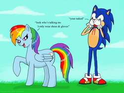 Size: 4000x3000 | Tagged: safe, artist:angela808, rainbow dash, pony, g4, blood, crossover, high res, interspecies, male, misspelling, nosebleed, shipping, sonic the hedgehog, sonic the hedgehog (series), sonicdash, straight, we don't normally wear clothes