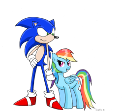 Size: 2577x2316 | Tagged: safe, artist:theblackemperor, rainbow dash, g4, crossover, high res, male, sonic the hedgehog, sonic the hedgehog (series)