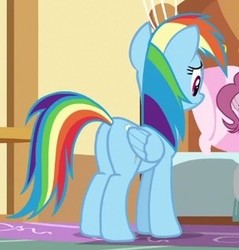 Size: 301x315 | Tagged: safe, screencap, rainbow dash, pony, 28 pranks later, g4, butt, cropped, female, mare, plot, rainbutt dash