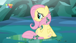 Size: 1426x801 | Tagged: safe, screencap, fluttershy, pegasus, pony, g4, to where and back again, back, both cutie marks, changeling slime, cute, female, mare, shyabetes, sitting, slime, solo