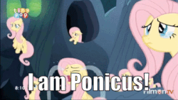 Size: 400x225 | Tagged: safe, edit, edited screencap, screencap, fluttershy, changeling, g4, to where and back again, animated, crying, crying flutterlings, disguise, floppy ears, gif, multeity, so much flutter, spartacus, text