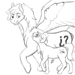 Size: 2500x2500 | Tagged: safe, artist:gabriel-titanfeather, oc, oc only, oc:gabriel titanfeather, oc:gypsy love, oc:patches, pegasus, pony, unicorn, digital art, female, high res, impossibly large wings, male, mare, monochrome, propositioning, shipping, size difference, sketch, smirk, stallion, straight, walking