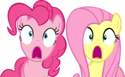 Size: 14138x8784 | Tagged: safe, artist:cyanlightning, fluttershy, pinkie pie, earth pony, pegasus, pony, buckball season, g4, .svg available, absurd resolution, duo, female, jaw drop, mare, open mouth, shocked, simple background, transparent background, vector