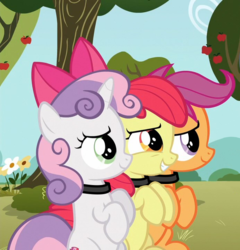 Size: 692x720 | Tagged: safe, edit, edited screencap, screencap, apple bloom, scootaloo, sweetie belle, earth pony, pegasus, pony, unicorn, g4, adorabloom, behaving like a dog, bow, collar, cute, cutealoo, cutie mark crusaders, diasweetes, filly, hair bow, pony pet