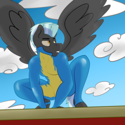 Size: 4000x4000 | Tagged: safe, artist:php37, thunderlane, pegasus, anthro, unguligrade anthro, g4, catsuit, latex, male, sexy, solo, spread wings, squatting, wonderbolt trainee uniform, wonderbolts