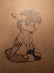 Size: 960x1280 | Tagged: safe, artist:php122, oc, oc only, oc:wingedthoughts, hippogriff, chest fluff, ear fluff, ear piercing, fluffy, ink, inktober, inktober 2016, monochrome, photo, piercing, ring, sad, solo, traditional art