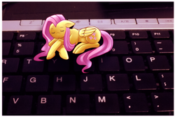 Size: 1730x1166 | Tagged: safe, artist:meewin, fluttershy, g4, irl, keyboard, micro, photo, ponies in real life, prone, sleeping, solo, tiny ponies