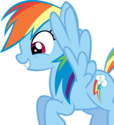 Size: 10642x11664 | Tagged: safe, artist:cyanlightning, rainbow dash, g4, .svg available, absurd resolution, female, simple background, smiling, solo, transparent background, vector