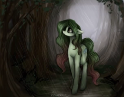 Size: 686x536 | Tagged: dead source, safe, artist:liliumena, oc, oc only, pony, forest, rain, solo