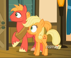 Size: 1321x1087 | Tagged: safe, screencap, applejack, big macintosh, earth pony, pony, g4, where the apple lies, discovery family logo, male, stallion, teenage applejack, teenage big macintosh