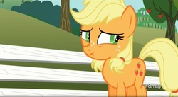 Size: 1665x911 | Tagged: safe, screencap, applejack, earth pony, pony, g4, where the apple lies, cute, female, filly, jackabetes, liar face, liarjack, scrunchy face, solo, teenage applejack, wavy mouth