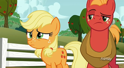 Size: 1275x707 | Tagged: safe, screencap, applejack, big macintosh, earth pony, pony, g4, where the apple lies, discovery family logo, male, raised eyebrow, stallion, teenage applejack, teenage big macintosh