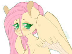 Size: 1024x776 | Tagged: safe, artist:riddlish, fluttershy, pegasus, pony, g4, bust, colored pupils, cute, female, hoof on chin, looking at you, looking sideways, shyabetes, simple background, solo, spread wings, stray strand, teary eyes, white background, wings