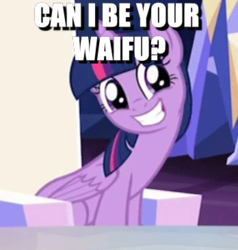 Size: 348x366 | Tagged: safe, edit, edited screencap, screencap, twilight sparkle, alicorn, pony, g4, season 6, to where and back again, bronybait, cute, faic, female, image macro, mare, meme, question, solo, twilight sparkle (alicorn), waifu